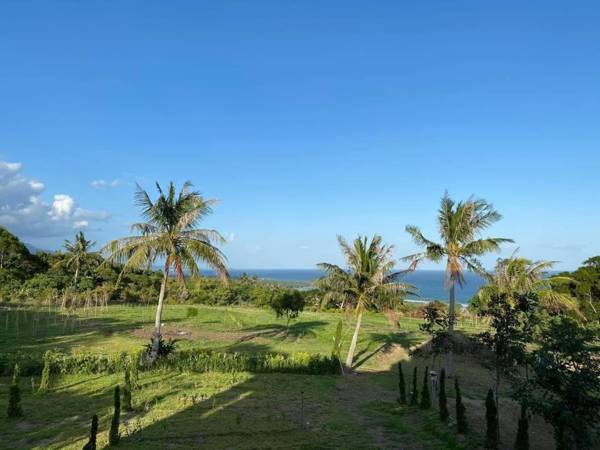 台東 奧麗雅安莊園 Chateau de olea