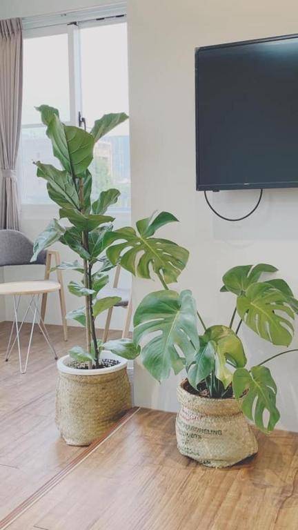 喫茶居 茶蔬食主題民宿 Chih Cha Jyu