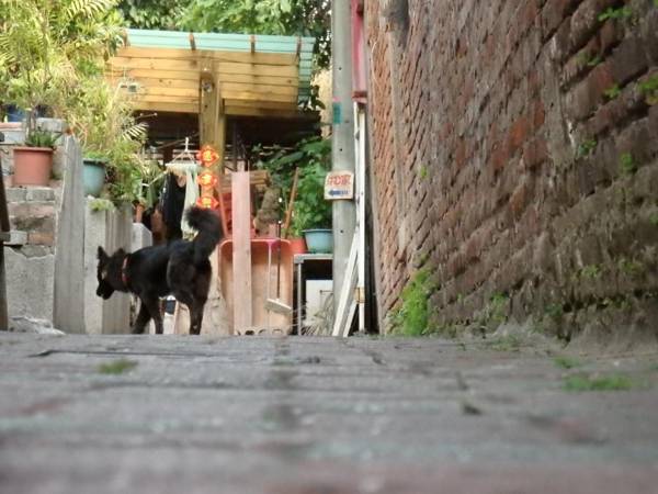 Tainan Guest House Hamuya