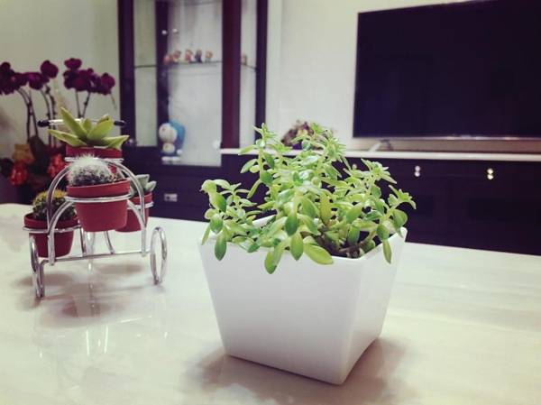 There are no results for