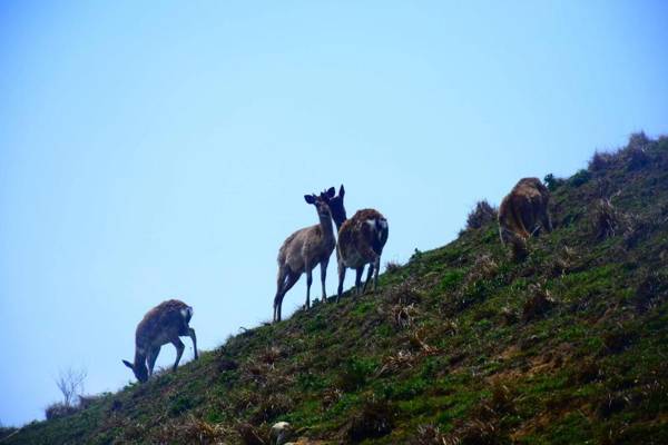 Jinsha Sea Cloud B&B