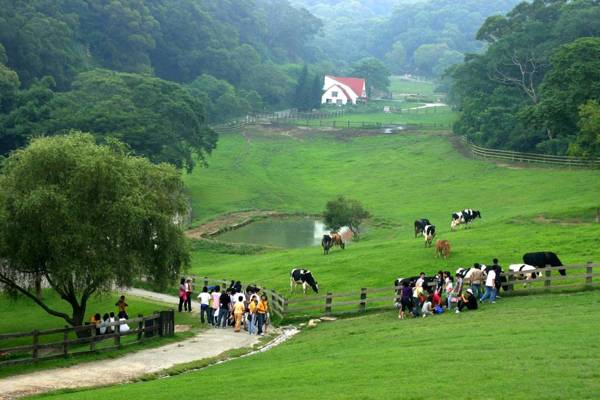 Flying Cow Ranch