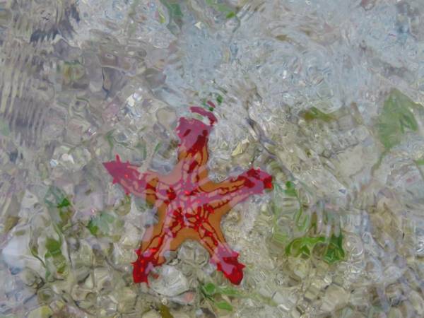 Kivulini Lodge and Restaurant