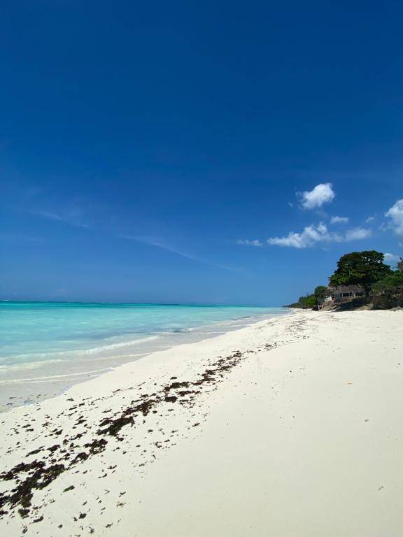 Crystal Beach Nungwi