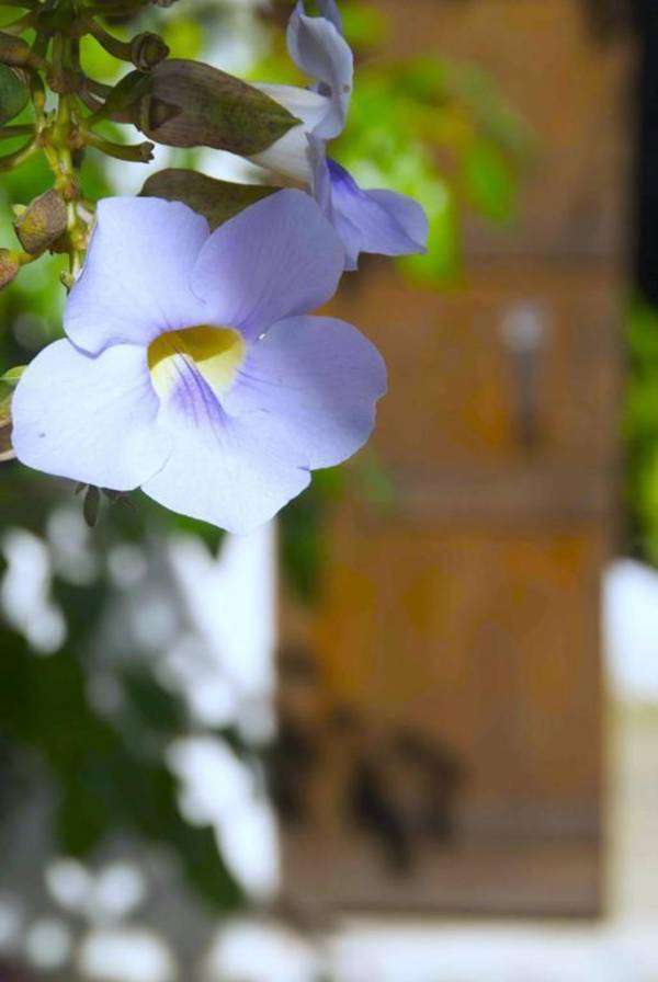 Elewana Kilindi Zanzibar - Adults Only