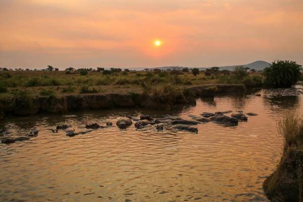 Osero Serengeti Luxury Tented Camp