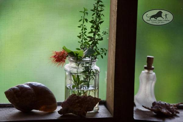 Baker Safari Company