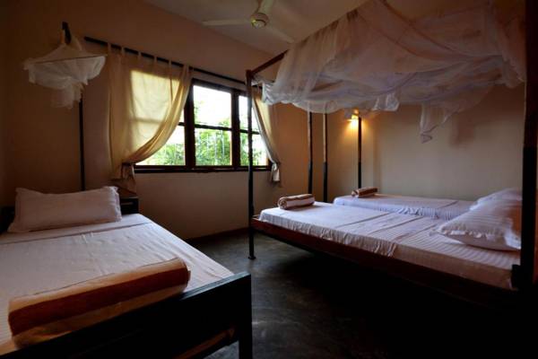 The Slow Leopard Kilwa