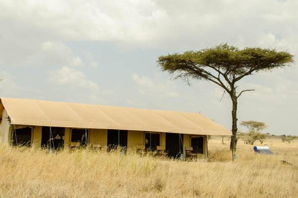 Gnu Ndutu Camp