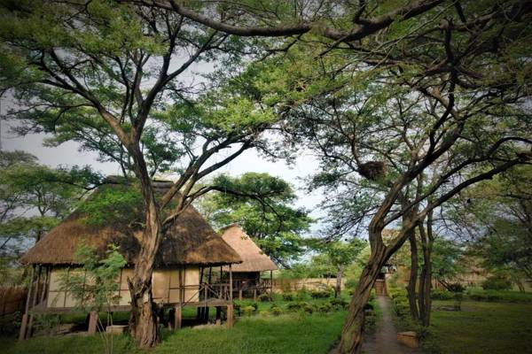 Little Okavango Camp Serengeti A Tent with a View Safaris