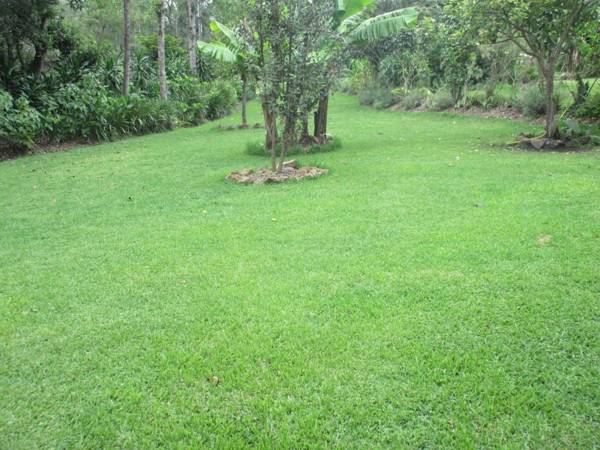 Kilimanjaro Eco Lodge