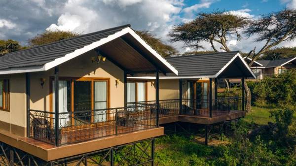 Lions Paw Ngorongoro