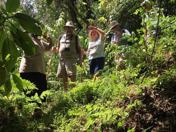 Machame Nkweshoo Cultural Tourism