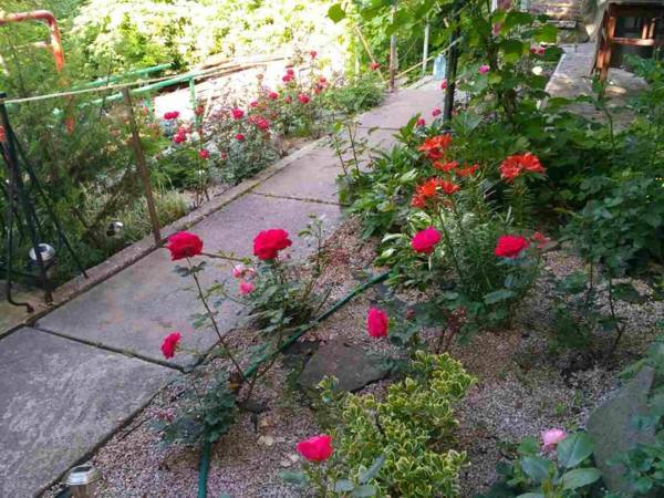 Apartments and Sauna