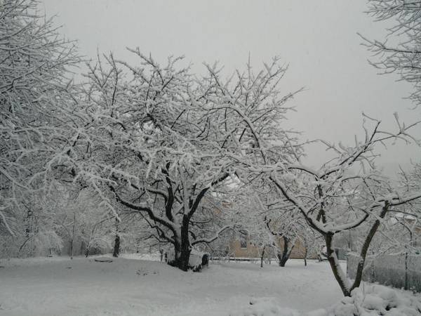 Guest House at Lesya Ukrainka