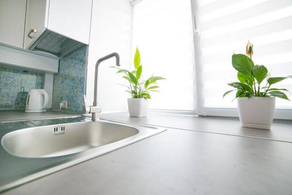 Elegant VIP apartment