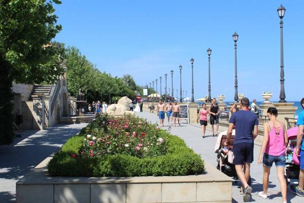 Guest House Butterfly Wing