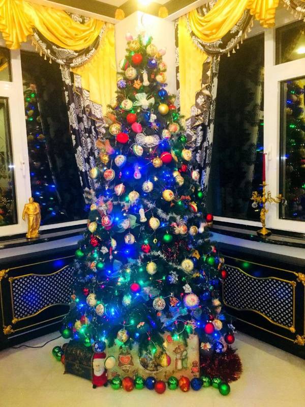 VIP Apartment for rent with SEA VIEW in Arcadia