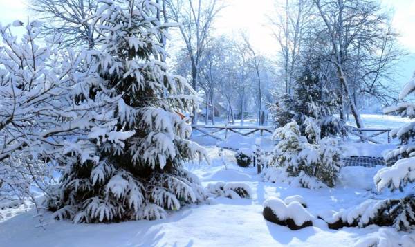 SPA Hotel Zhyva Voda