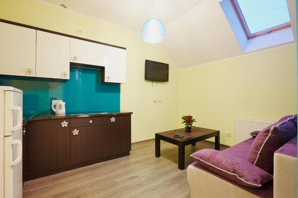 Apartment Fedkovycha