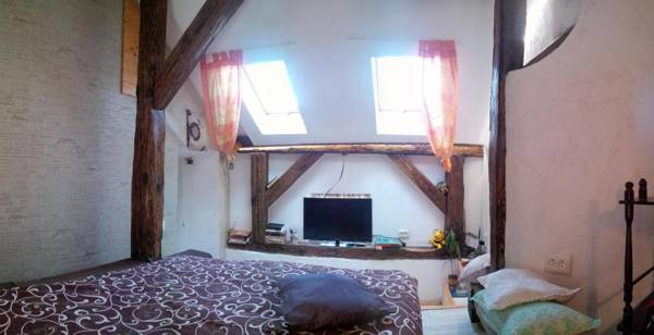 Lviv Amazing Rooftop Apartment