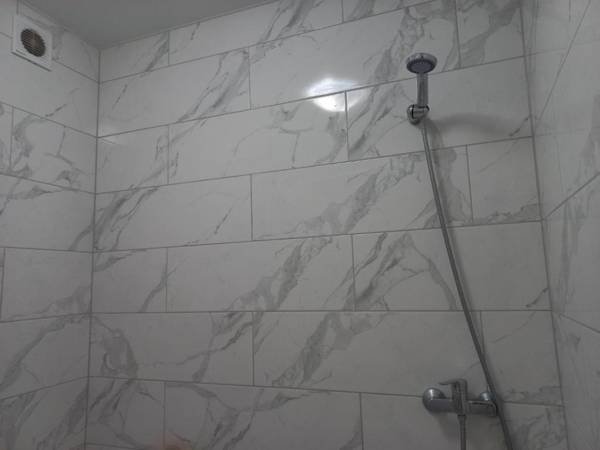 шевченка 60 семицвіт