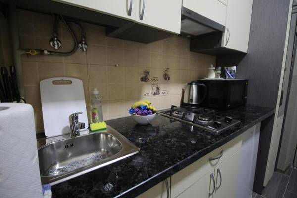 Lviv-centre apartments Gorodotska 44