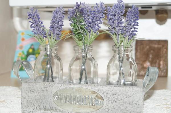 Dominicana l Apartments l Lviv Historical City Center