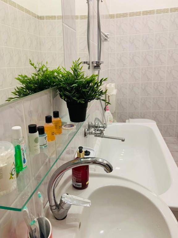 Centr Opera House 2 rooms