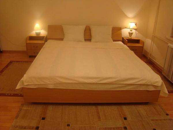 Alex Apartments on Puskinskaya