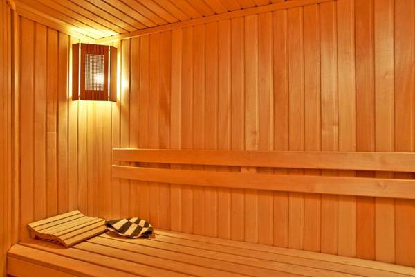 Big Jacuzzi  Sauna  Khreshchatyk apartments