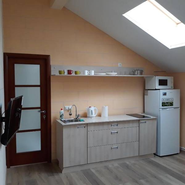 Veľká Vasylkivska 132