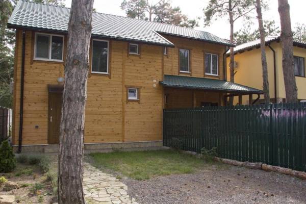 Cottage in Sosnovom Boru