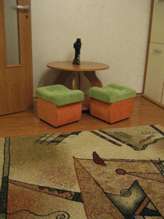 Apartment on Oleksandra Polia Avenue