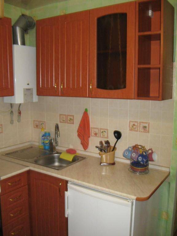 Apartment on Oleksandra Polia Avenue