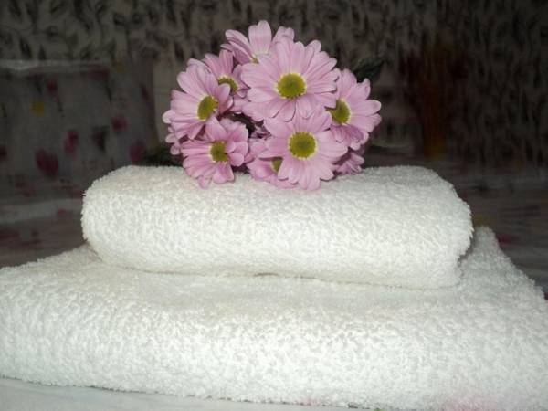 Apartment on Vasylia Stusa St 10