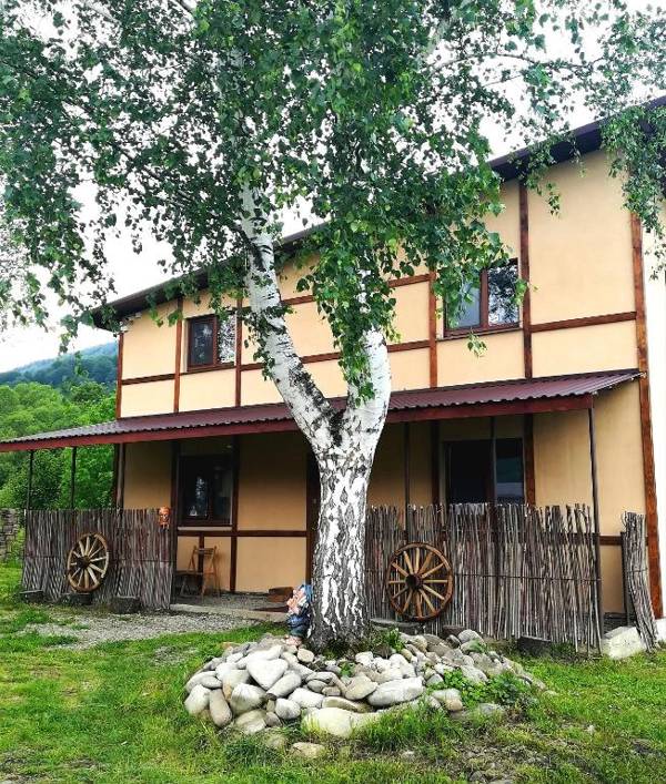 Guest House Pisnya Karpat