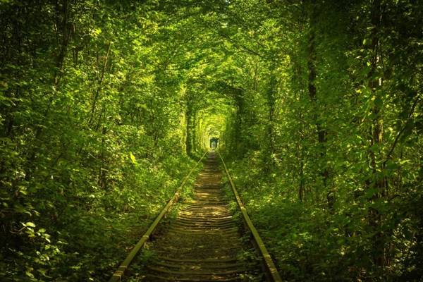 Hotel Tunnel of Love