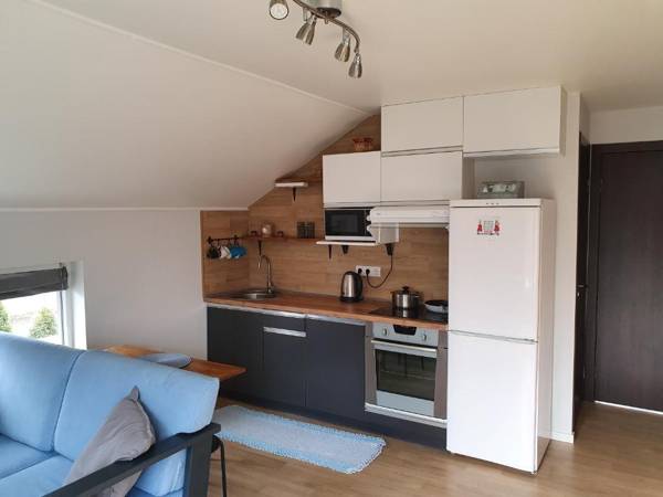 Квартира з чердаком 2