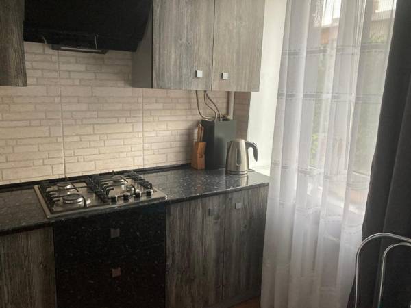 Apartment Artynova 29