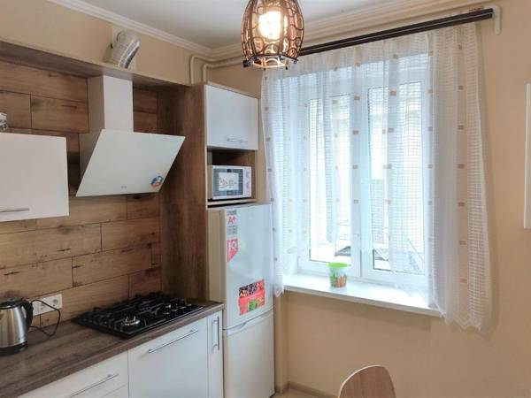 Lux Apartment near Roshen fountain