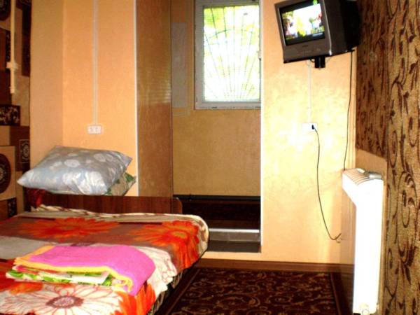 МИНИ СТУДИЯ пр.Центральный 148 в/у WI-FI 1 диван 1/9