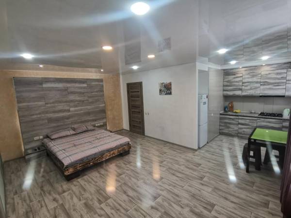 Spacious studio apartment