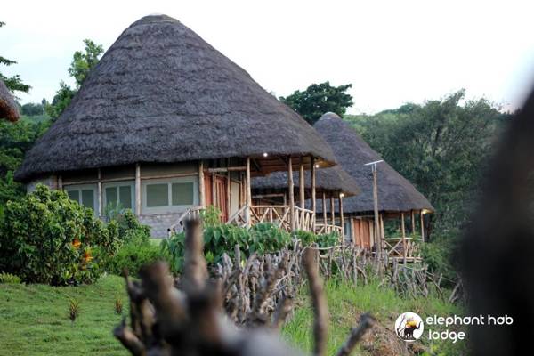 Elephant Hab Lodge