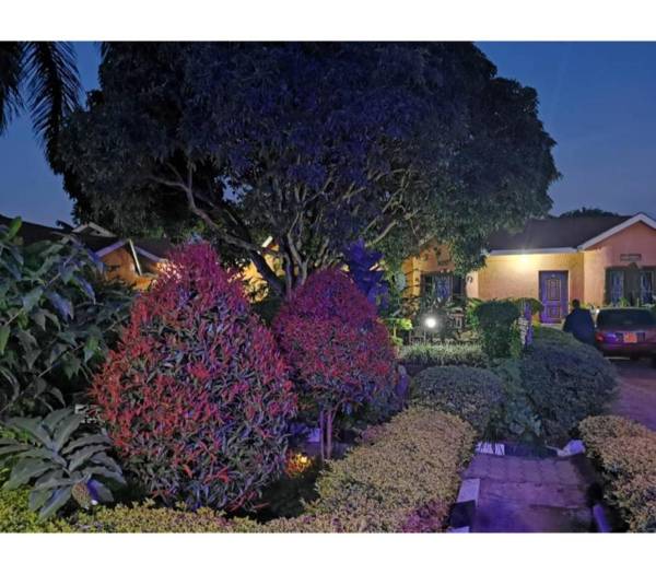 Gorilla African Guest House