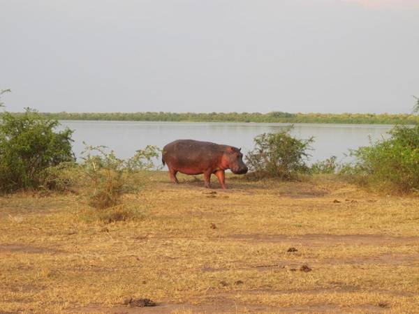 Kasenyi Lake Retreat & Campsite