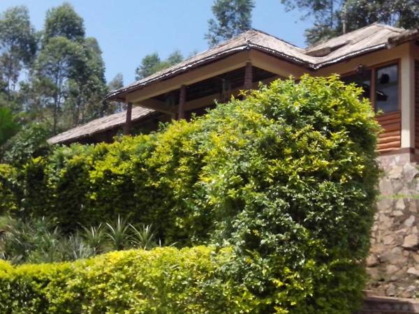 Bwindi Forest Lodge