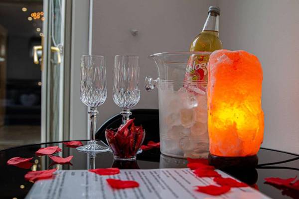 Private Hot Tub Sauna Ice Bath Gym Apartment