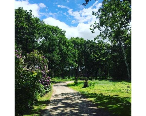 Hollicarrs - Woodland Lodge