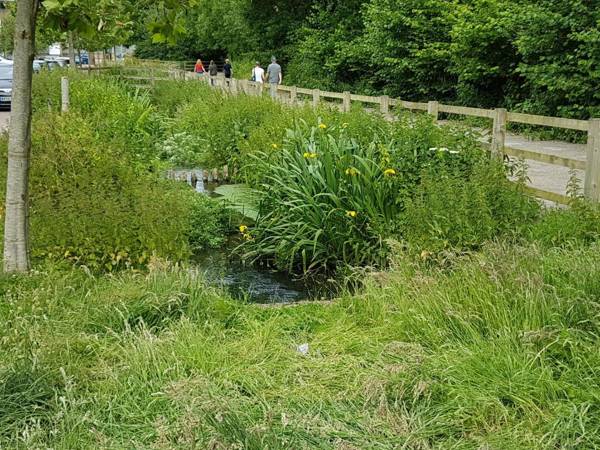 Streamside Apartment